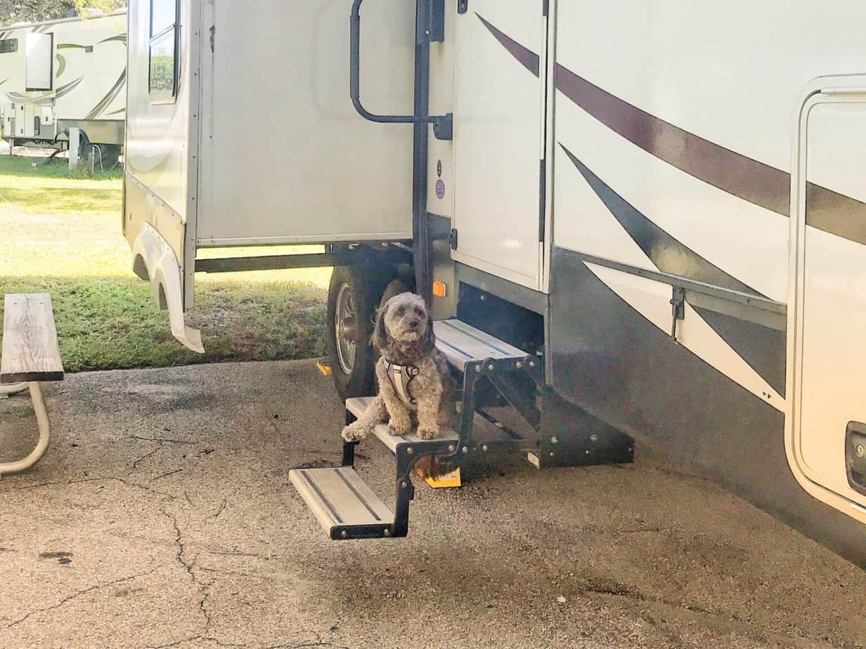 RV Living with Dogs A Complete Guide Travels with Ted