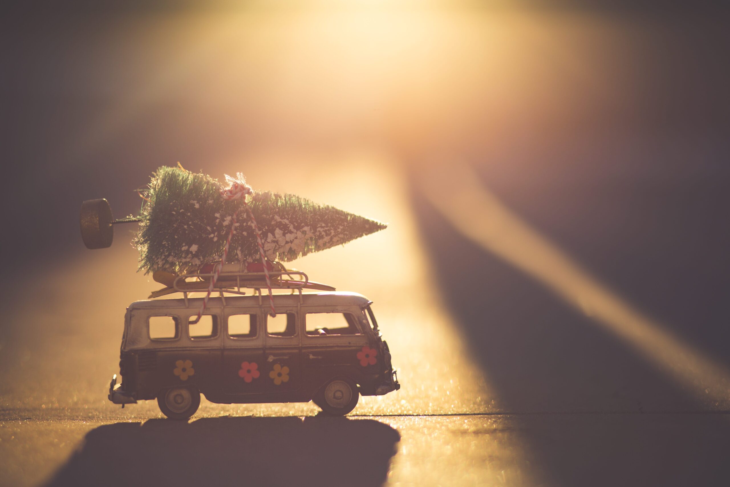 Holiday RV Van