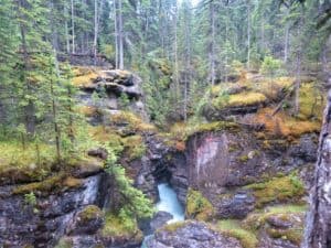 Malign Canyon Easy Hike in Jasper