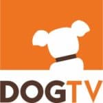 Dog TV