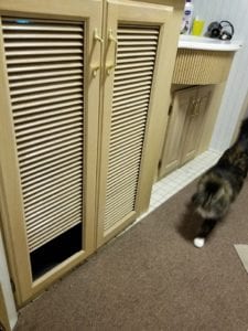 Washer Dryer Cabinet and Cat