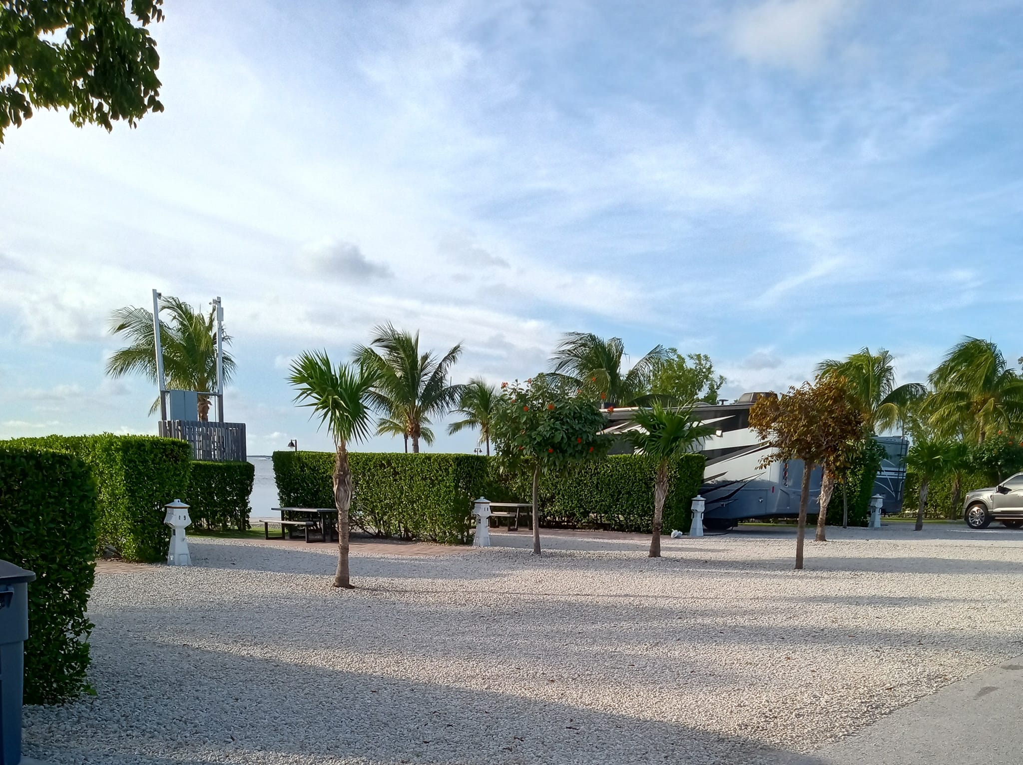 Florida RV resort with palm trees and shrubs between campsites