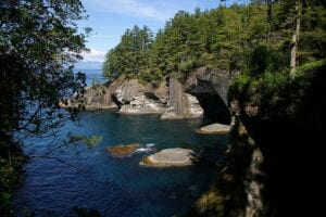 Dog friendly hike olympic peninsula