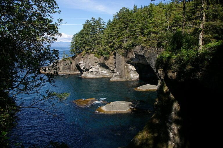 Dog Friendly Olympic Peninsula A Complete Vacation Guide