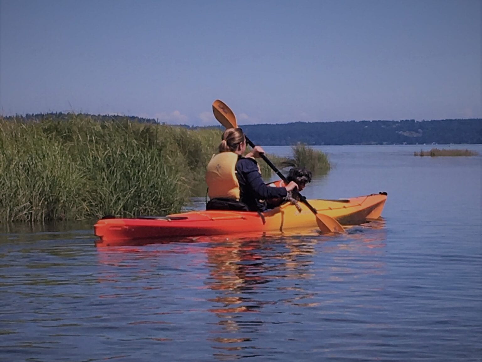 The Monthly Cost of Living in an RV The Definitive Guide