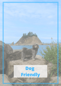 Dog Friendly Travel Blog