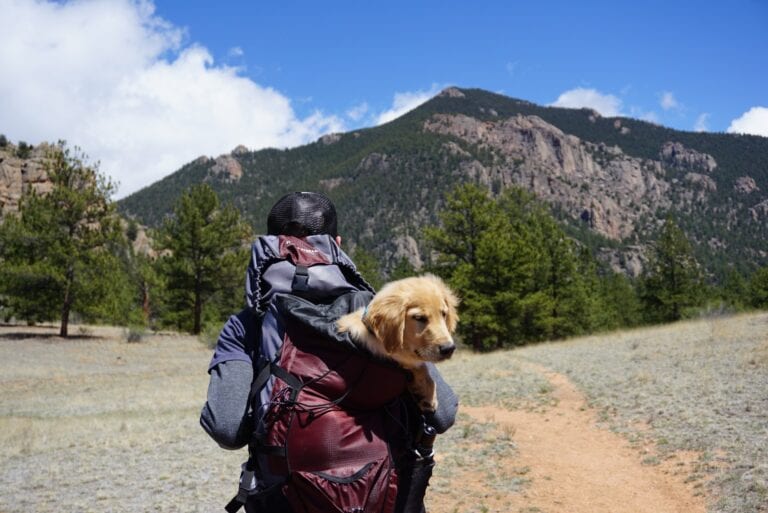 Dog Friendly Hikes in Utah