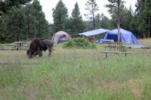 Yellowstone Campground