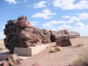 Petrified Forest