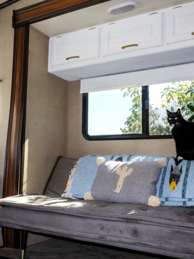 25 Stylish Sleeper Sofas for your RV Makeover Travels with Ted