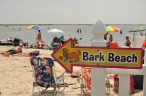 Dog Friendly RV Parks; Bark Beach at Castaways RV Resort