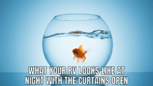 RV life meme fishbowl.