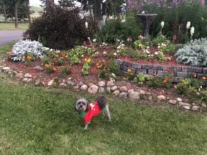 Ted at Jim and Mary's RV Park