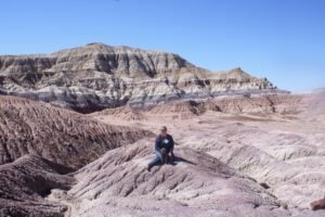 Petrified Forest Dog Friendly National Park