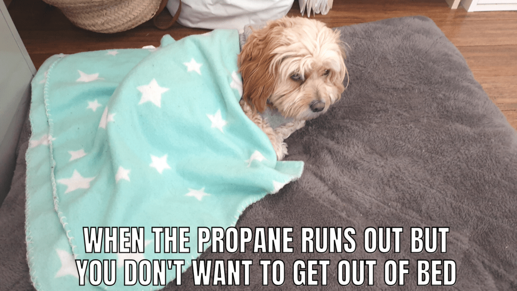 Funny RV Camping Memes: RV Dog