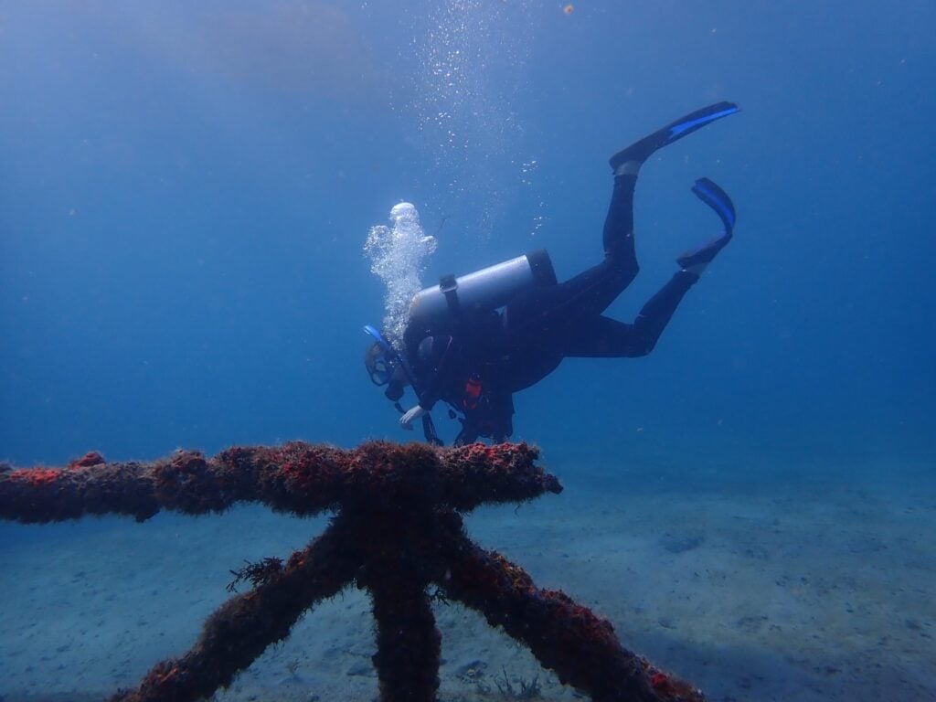 Scuba Diver underwater in Florida