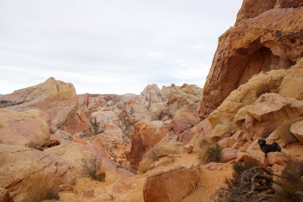 White Domes Trail at Valley of Fire State Park