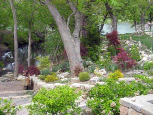 Botanical Gardens with plants, trees and bench