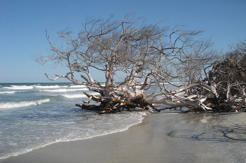 Best Florida State Parks for RV Camping: Little Talbot Island