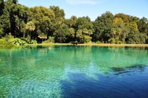 Best Florida State Parks for RV Camping: Rainbow Springs