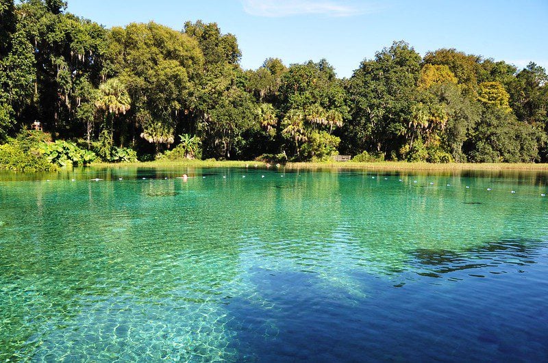Best Florida State Parks for RV Camping: Rainbow Springs