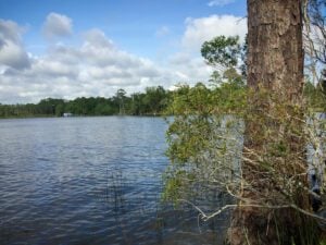 Best Florida State Parks for RV Camping: Rocky Bayou