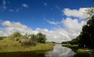 Best Florida State Parks for RV Camping: Myakka River State Park