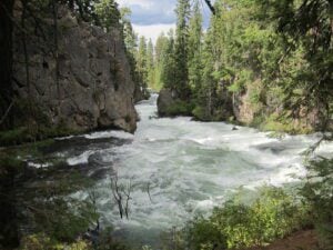 Best Dog Friendly Hikes in Oregon: Benham Falls