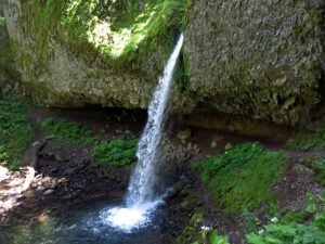 Best Dog Friendly Hikes in Oregon: Ponytail Falls