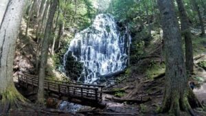 Best Dog Friendly Hikes in Oregon: Ramona Falls