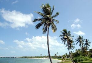 Best Florida State Parks for RV Camping: Bahia Honda