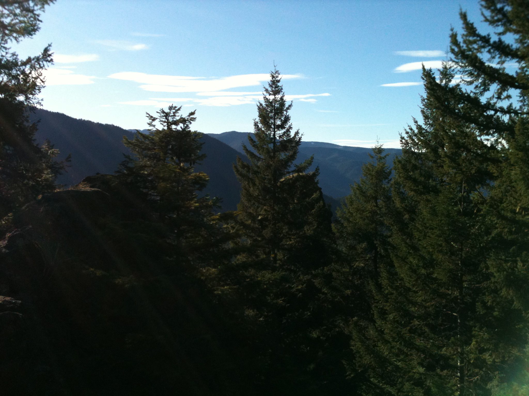 Best Dog Friendly Hikes in Oregon 12 Hikes to Bark About Travels with Ted