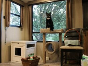 Dedicated pet area with litter box cabinet and cat condo in RV interior.