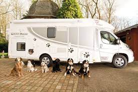 Best RV for Dogs: 4proften-Mobile