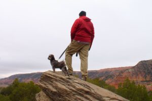 Dog out hiking on steep rock with man