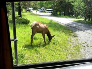 RVing in Canada: Campground at Banff NP