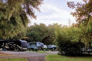 Best RV Parks in Georgia: McIntosh Manor RV Park