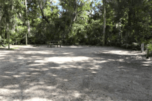 Gravel RV campsite surrounded by trees.