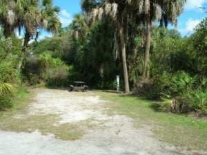 RV campsite at Little Manatee River State Park.