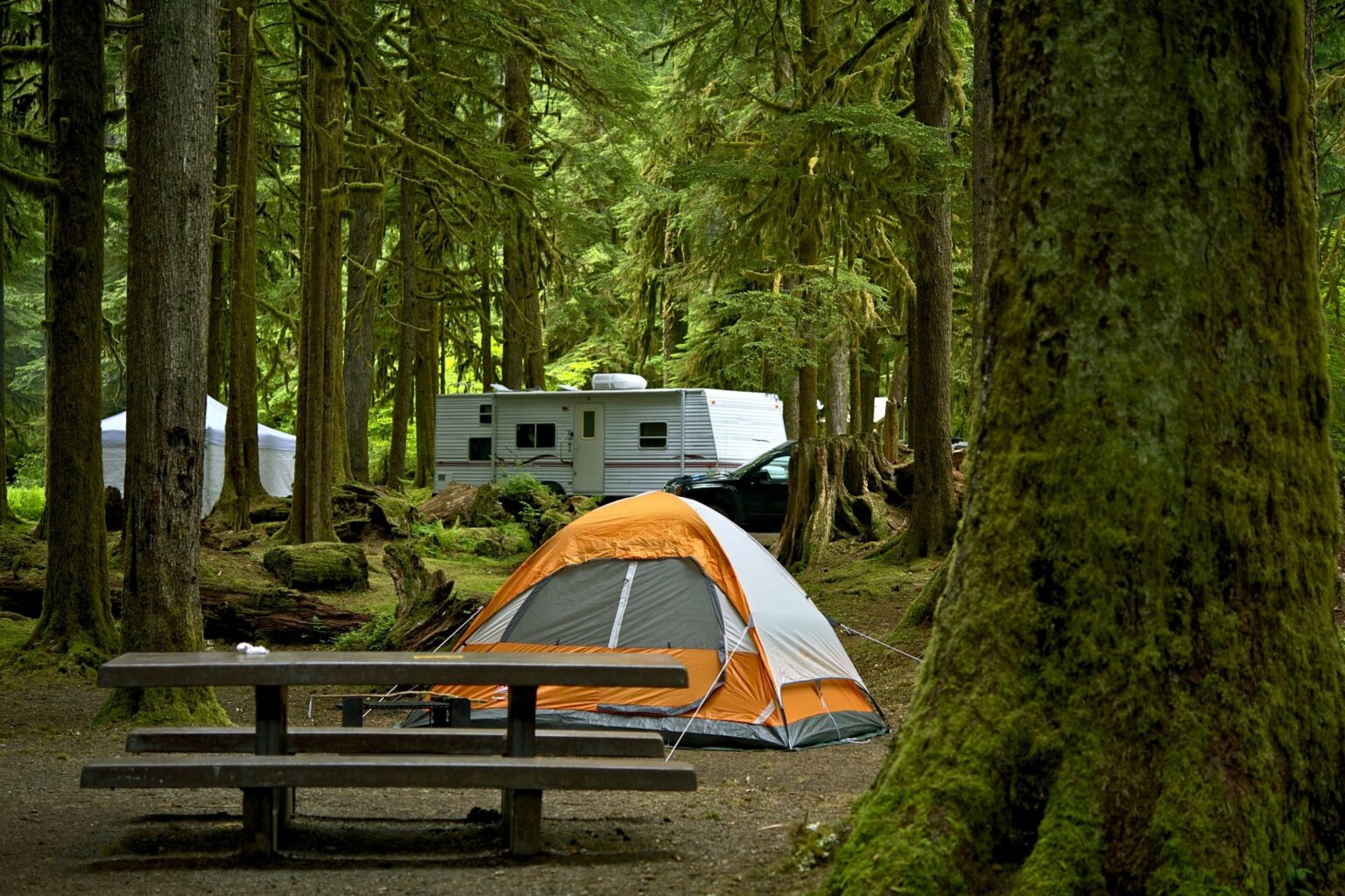 Book 2023 Lake Tahoe RV Camping Reservations (The Easy Way)