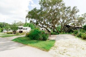 Best KOA Campgrounds: Clearwater / Lake Tarpon