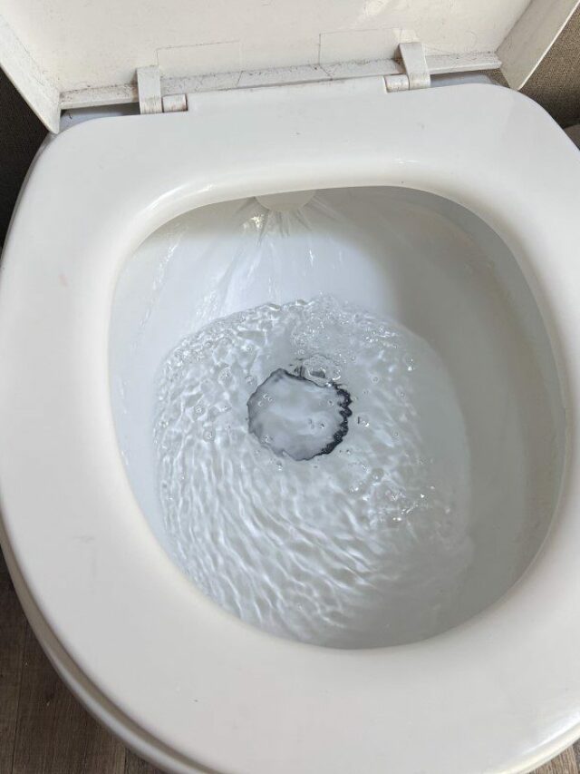 Tips for Pooping in an RV Travels with Ted