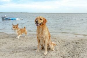 Best Sun Outdoors RV Resorts: Sun Outdoors Ocean City