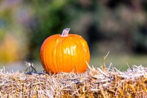 Pumpkin on hay bale.