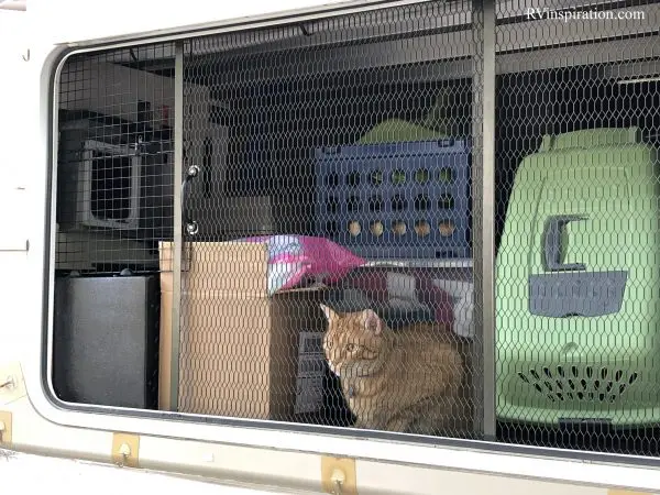 Custom RV mod cat patio.