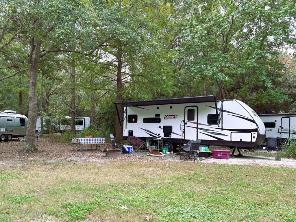 RVs at grassy, forest campground