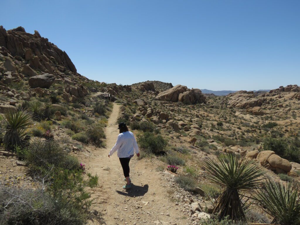 Woman hiking in Joshua Tree National park