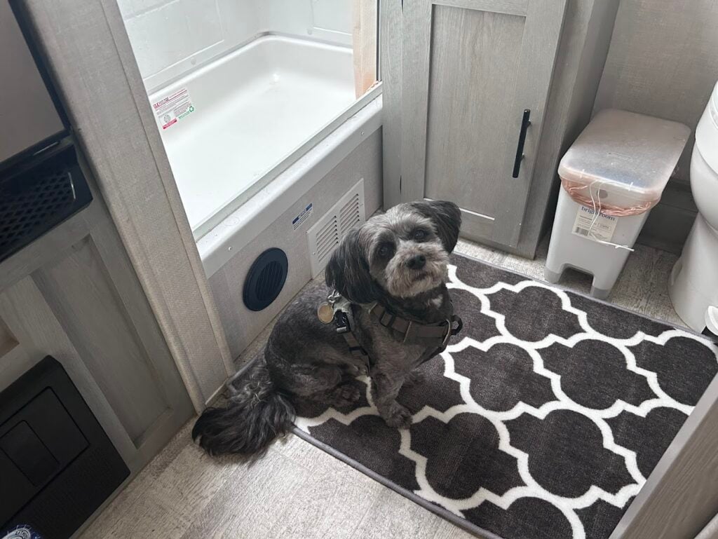 Dog in RV bathroom sitting on rug.