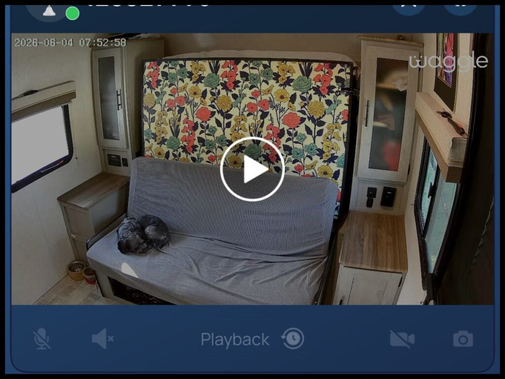 Waggle camera view in app with video of dog sleeping on couch