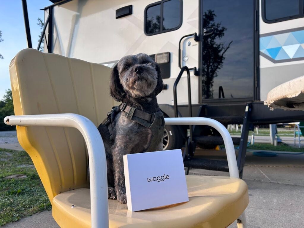 Dog with Waggle Pet Monitor Box at RV Campsite